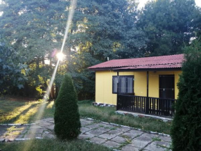 Морска База Венера